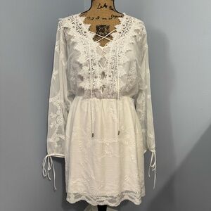 WHBM Lace Sheer Dress